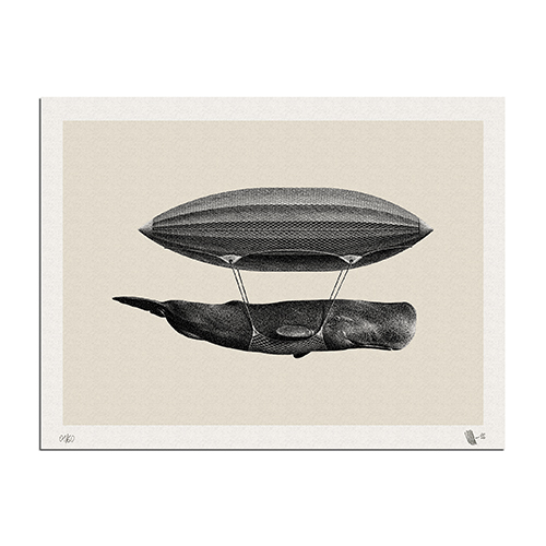 WHALE